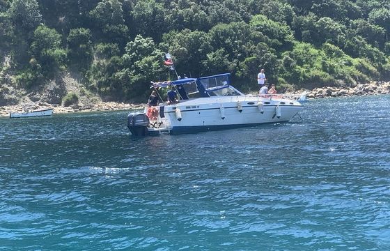 M/B Piantoni onda blu