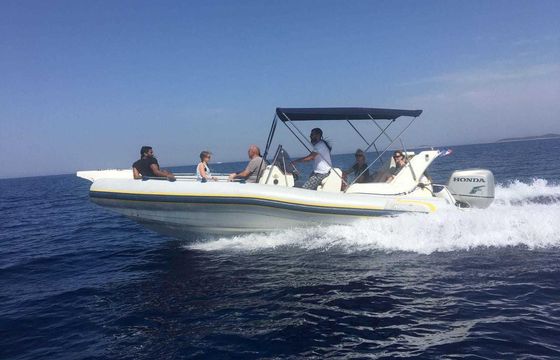 Marlin 23