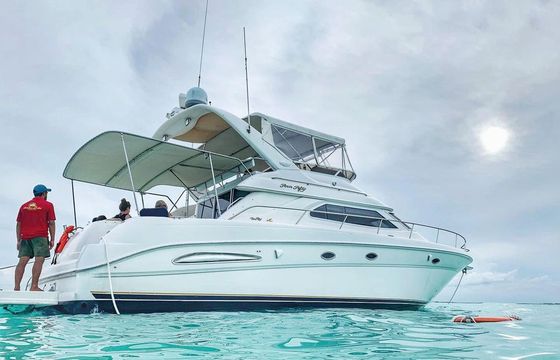 Sea Ray Flybridge 45