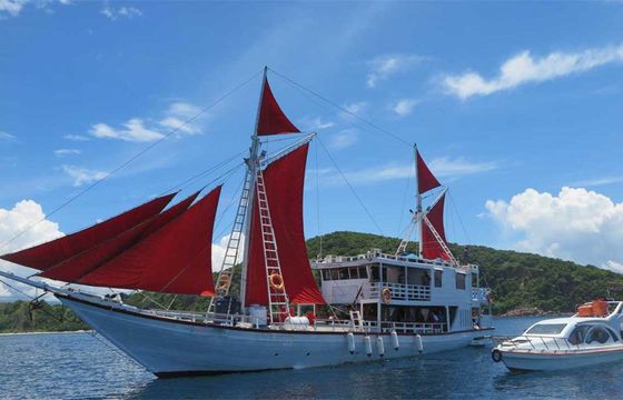 Traditional Phinisi Schooner 87