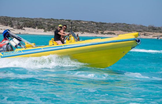 Dolphin 6.20