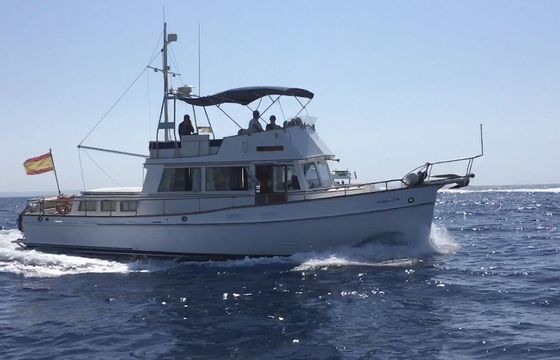 Grand Banks Classic 42