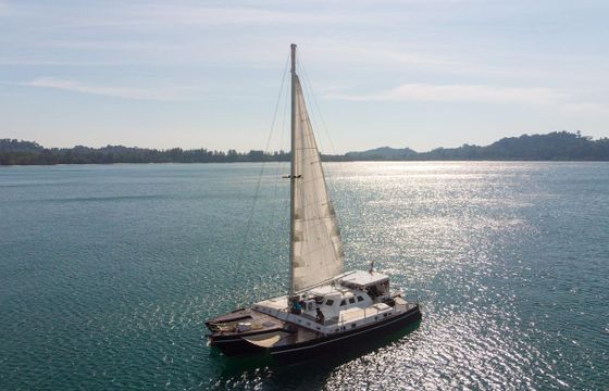 Catamaran 51