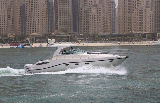 Oryx 36