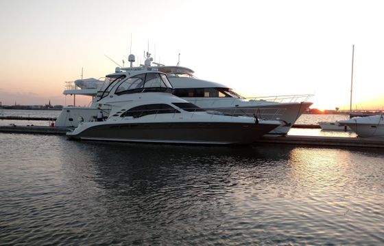 Sea Ray FlyBridge
