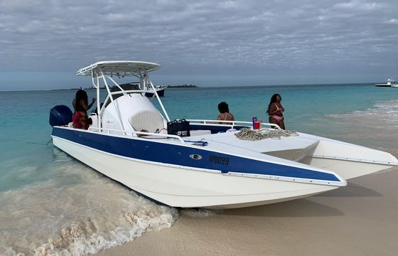 Cobra Catamaran