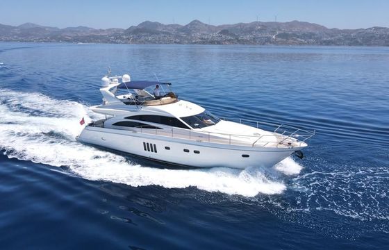 Princess 67