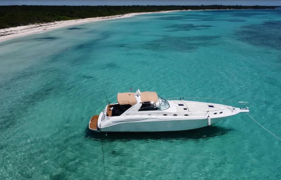 Sea Ray SDX 45 Sundancer
