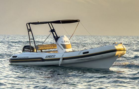 eagle boats eagle