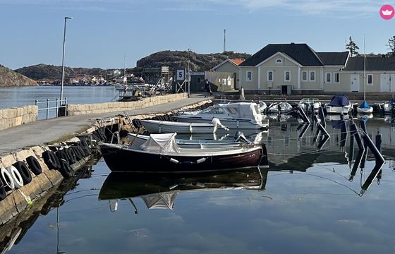 långsjösnipan classic