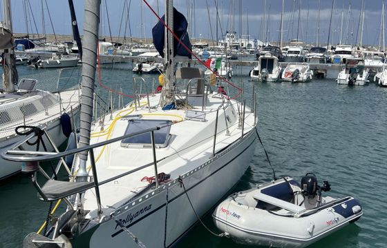 zuanelli z 40