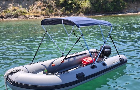 boat rib 420