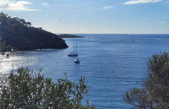 jeanneau sun shine 38