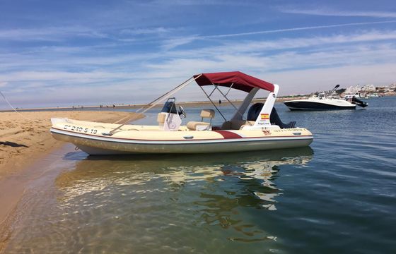 tiger marine proline 6.0
