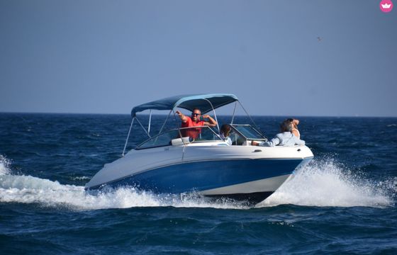 rinker captiva 196