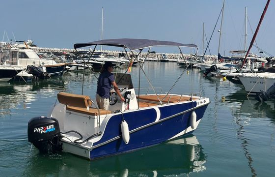 barco privado para avistamiento de delfines