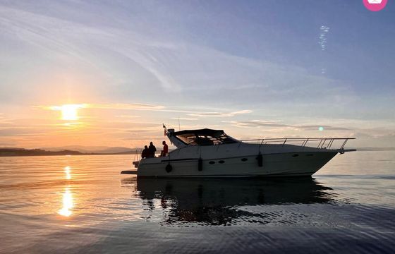 arsmare 44 sport