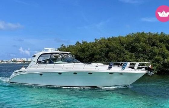 sea ray 60