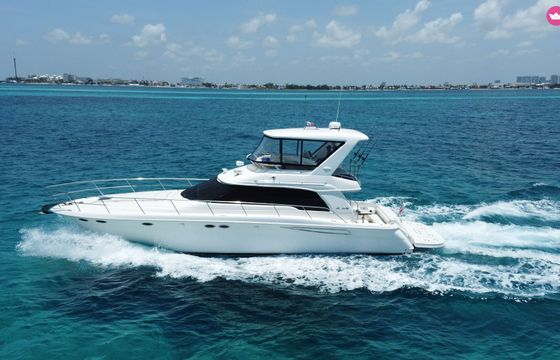 sea ray 480 sedan bridge