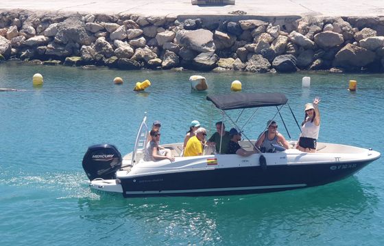 bayliner 18