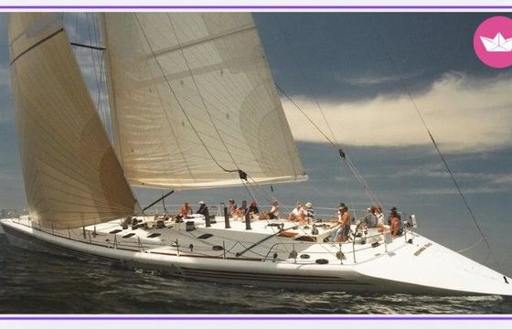 u/p sails 100