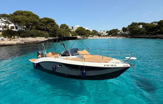 trimarchi 85 dylet