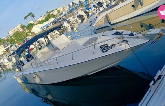 calypso excursions forboat 34