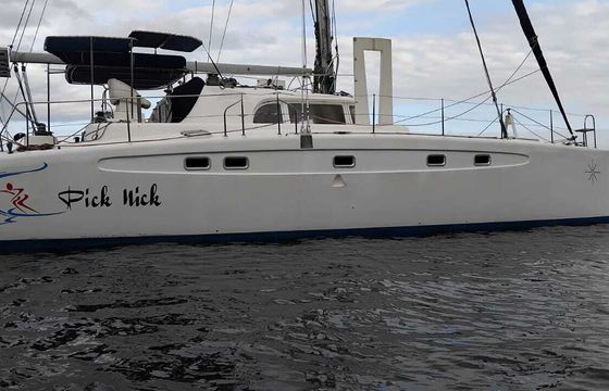 dolphin dolphin 46