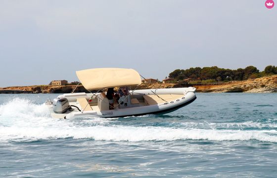mv marine mv798