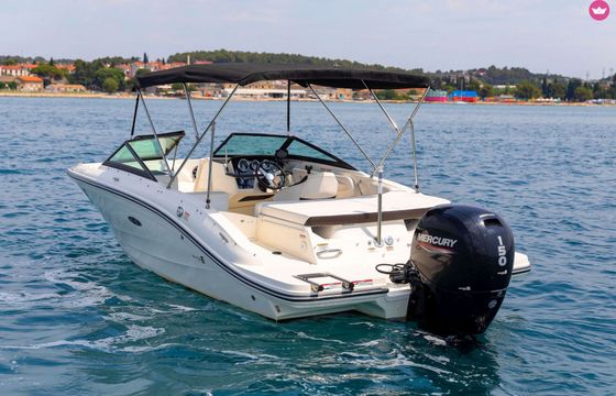 sea ray 190 spx