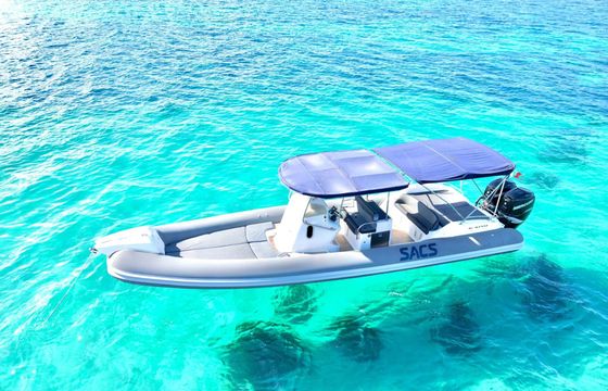 sacs marine strider 10