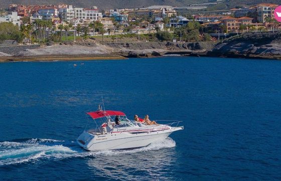 cruisers rogue 3060