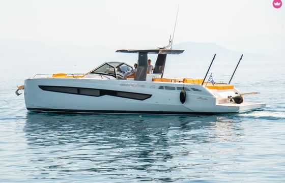 fiart 43 ft seawalker