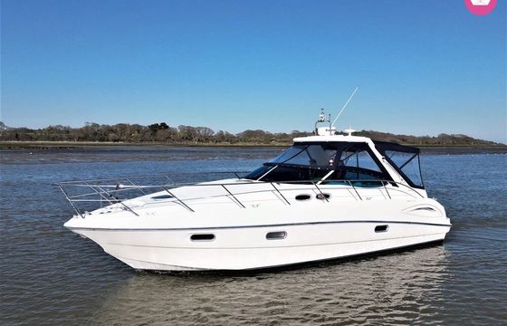 sealine s38
