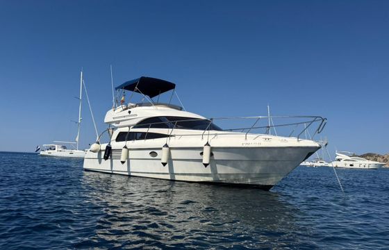 astondoa 39