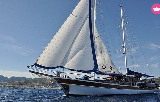 custom made cemre junior