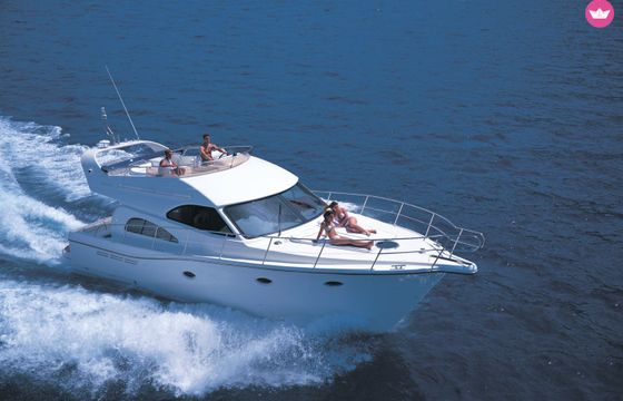 rodman r41