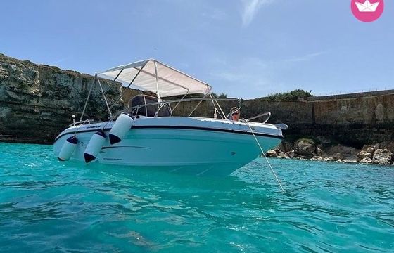 ranieri voyager 19 s