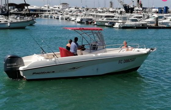 promarine aurey56 promarine740 open