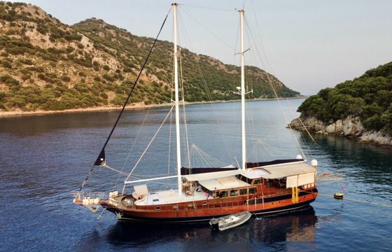 özel üretim 2009