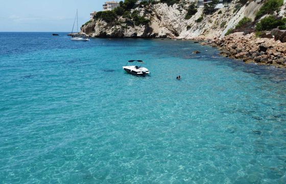 bayliner element e16