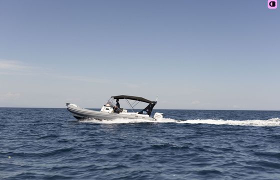 zodiac medline 740