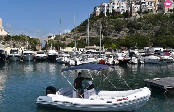 italboat predator 599 n.42