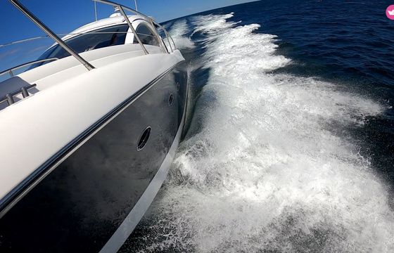 sunseeker portofino 48