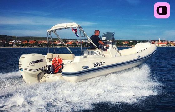nuova jolly marine black fin