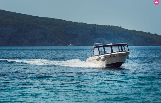 enzo 35