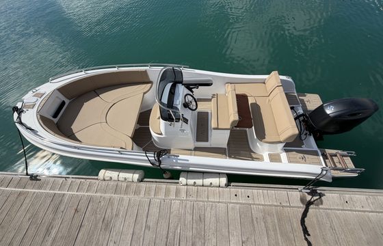 allegra 21 d