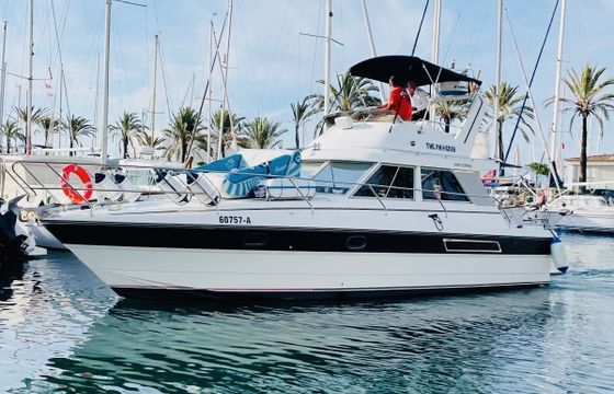 princess 330 flybridge