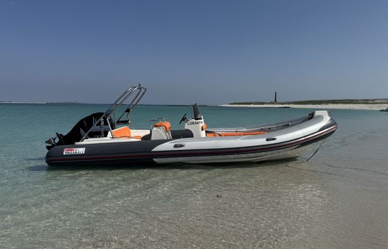 valiant v 750 cruiser