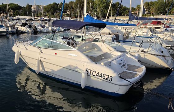 sessa marine islamorada 23